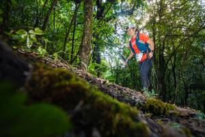 BIB: 104
                            <button type="button" onclick="openModal(16009764)" class="btn btn-primary btn-sm float-right btn-popup" data-toggle="modal" data-target=".modal-high-quality">
                        <i class="fas fa-shopping-cart"></i> Add to Cart
                    </button>
                                            <button type="button" onclick="isThisMe(16009764, true)" class="btn btn-success btn-sm float-right btn-popup btn-isme hidden" data-toggle="tooltip" data-placement="bottom" title="นี่คือรูปของคุณใช่ไหม คลิกที่นี่เพื่อเอาเข้าอัลบั้ม">
                        <i class="fas fa-plus"></i> Add to album
                    </button>
                    <button type="button" onclick="isThisMe(16009764, false)" class="btn btn-warning btn-sm float-right btn-popup btn-isnotme hidden">
                        <i class="fas fa-ban"></i> Remove from album
                    </button>